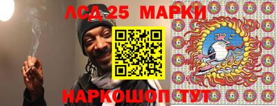 амф Новодвинск