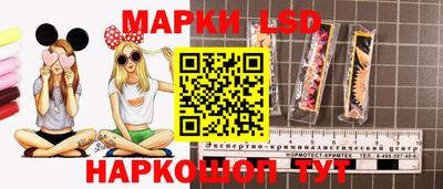амф Новодвинск