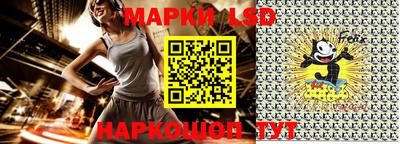 амф Новодвинск