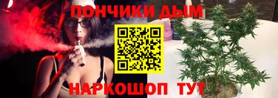 шишки Обь