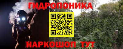 амф Новодвинск