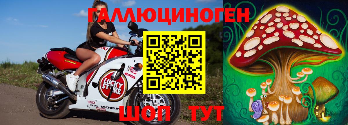 Псилоцибиновые грибы GOLDEN TEACHER  закладка  Вход с VPN  Усинск  Псилоцибиновые грибы ЛСД 